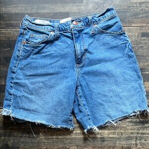 Universal Thread Blue Jean Shorts